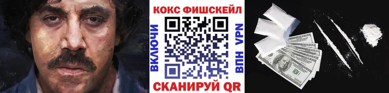 КОКАИН Fish Scale  Купить где  Клин 