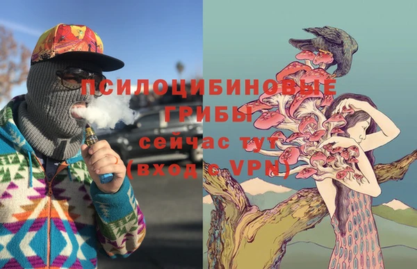 тгк Армянск