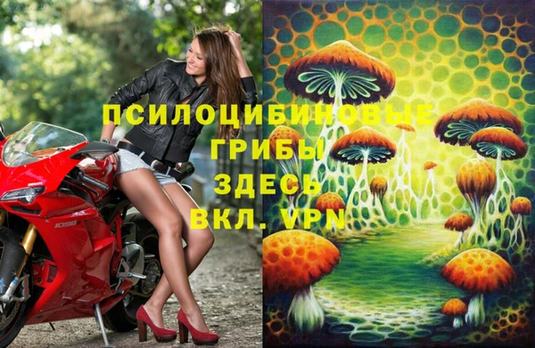 тгк Армянск