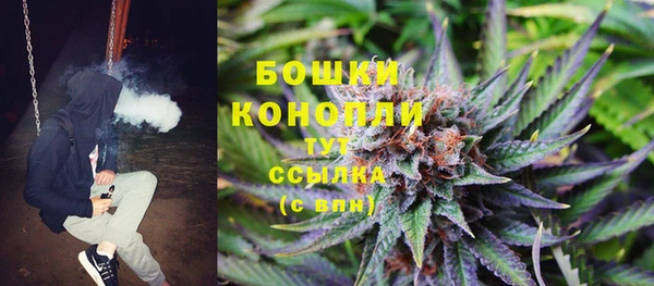 тгк Армянск