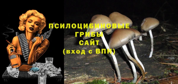 тгк Армянск